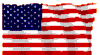 Amer Flag